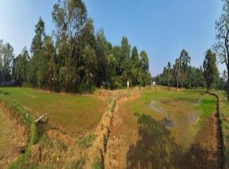 Agricultural Land for Sale in Palakkad, Alathur, Mathur, Durga Temple