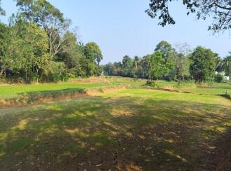 Agricultural Land for Sale in Palakkad, Alathur, Mathur, Durga Temple