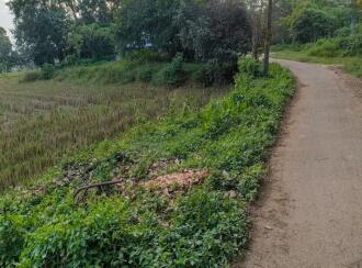 Agricultural Land for Sale in Palakkad, Alathur, Mathur, Durga Temple