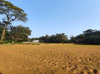 Agricultural Land for Sale in Palakkad, Alathur, Mathur, Durga Temple