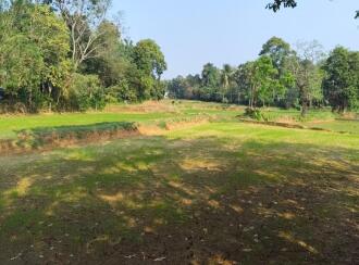 Agricultural Land for Sale in Palakkad, Alathur, Mathur, Durga Temple