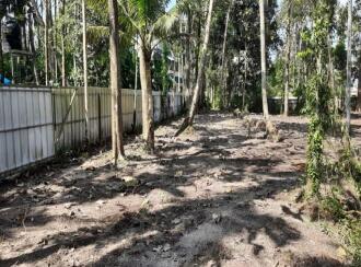 Residential Land for Sale in Alleppey, Alappuzha town, Mullakkal, Punnamada Thondakulangara Road
