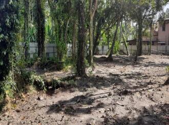 Residential Land for Sale in Alleppey, Alappuzha town, Mullakkal, Punnamada Thondakulangara Road