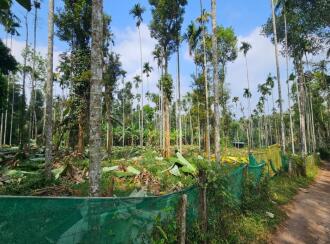 Commercial Land for Sale in Wayanad, Sulthan bathery, Krishnagiri, Near to NH 212, Pathiripalam