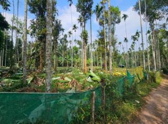 Commercial Land for Sale in Wayanad, Sulthan bathery, Krishnagiri, Near to NH 212, Pathiripalam