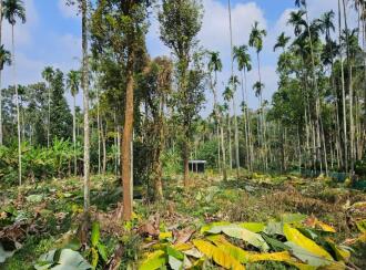 Commercial Land for Sale in Wayanad, Sulthan bathery, Krishnagiri, Near to NH 212, Pathiripalam