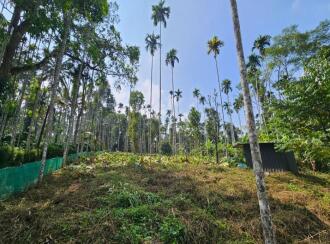 Commercial Land for Sale in Wayanad, Sulthan bathery, Krishnagiri, Near to NH 212, Pathiripalam