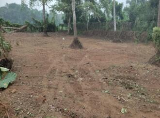 Residential Land for Sale in Thrissur, Mala, Vadama, 500 Meter away from Vadama School, Thrissur