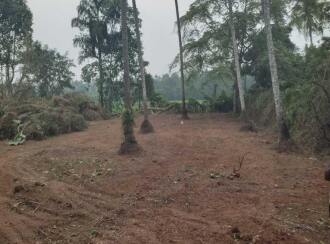 Residential Land for Sale in Thrissur, Mala, Vadama, 500 Meter away from Vadama School, Thrissur