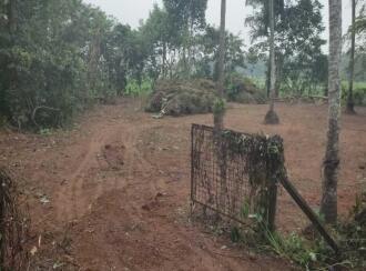 Residential Land for Sale in Thrissur, Mala, Vadama, 500 Meter away from Vadama School, Thrissur