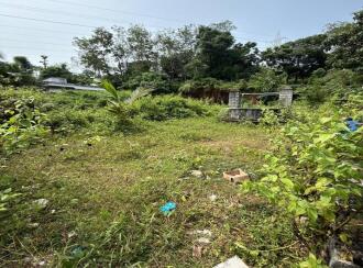 Residential Land for Sale in Pathanamthitta, Adoor, Adoor, Govt Boys High School