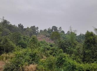 Commercial Land for Sale in Palakkad, Palakkad, Chulanur, Chulanur