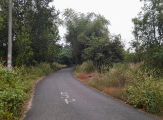 Commercial Land for Sale in Palakkad, Palakkad, Chulanur, Chulanur