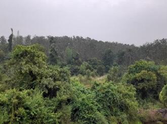 Commercial Land for Sale in Palakkad, Palakkad, Chulanur, Chulanur