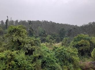 Commercial Land for Sale in Palakkad, Palakkad, Chulanur, Chulanur