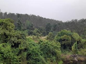 Commercial Land for Sale in Palakkad, Palakkad, Chulanur, Chulanur