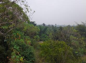 Commercial Land for Sale in Palakkad, Palakkad, Chulanur, Chulanur