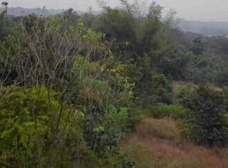 Commercial Land for Sale in Palakkad, Palakkad, Chulanur, Chulanur