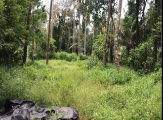 വാസയോഗ്യമായ ഭൂമി വില്പനയ്ക്ക് Thrissur, Irinjalakuda, Kattoor