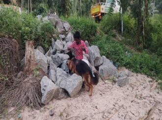 Residential Land for Sale in Alleppey, Cherthala, Thuravoor, valamangalam