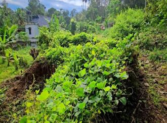 Residential Land for Sale in Kottayam, Pampady, 8 th mile, 8TH MILE DIET VELLOOR PAMPADY ...