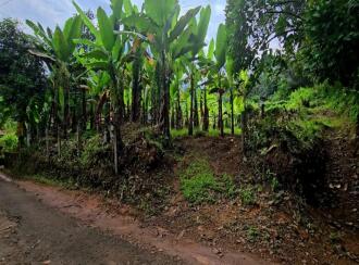 Residential Land for Sale in Kottayam, Pampady, 8 th mile, 8TH MILE DIET VELLOOR PAMPADY ...