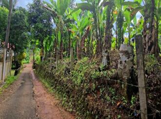 Residential Land for Sale in Kottayam, Pampady, 8 th mile, 8TH MILE DIET VELLOOR PAMPADY ...