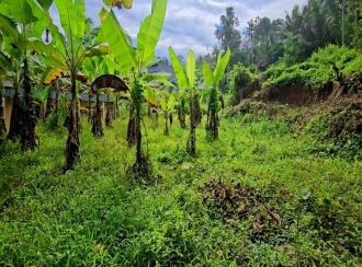 Residential Land for Sale in Kottayam, Pampady, 8 th mile, 8TH MILE DIET VELLOOR PAMPADY ...