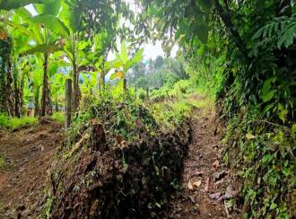 Residential Land for Sale in Kottayam, Pampady, 8 th mile, 8TH MILE DIET VELLOOR PAMPADY ...