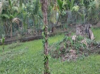 വാസയോഗ്യമായ ഭൂമി വില്പനയ്ക്ക് എറണാകുളം, Vypin, Cherai, Sahodaran Memorial