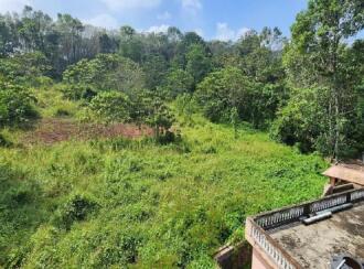 Residential Land for Sale in Kottayam, Changanassery, Karukachal, NSS Ladies Hostel