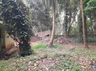 Commercial Land for Sale in Palakkad, Ottappalam, Palappuram, Palal wood industries