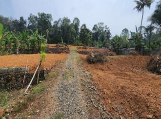 Residential Land for Sale in Kottayam, Kottayam town, Meenadom, Meenadon Service Co-operative Bank