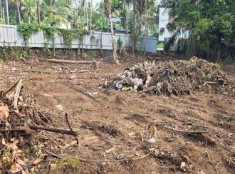 Residential Land for Sale in Kottayam, Kottayam town, Illickal