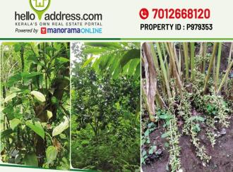 Residential Land for Sale in Idukki, Munnar, Munnar, Kunchithanny Near Eden&Rivulet resorts