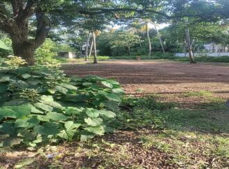 Residential Land for Sale in Kollam, Kollam, Cherumoodu, Near Vocational Higher secondary school , Vellimon