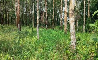 Residential Land, Kottayam