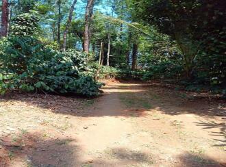 Residential Land for Sale in Kodagu, Somwarpet, Somwarpet, Near OLV Convent School