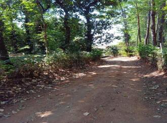 Residential Land for Sale in Kodagu, Somwarpet, Somwarpet, Near OLV Convent School