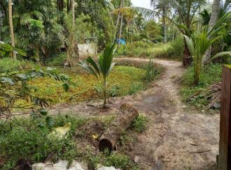 Residential Land for Sale in Alleppey, Arookutty, Arookutty