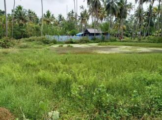 Residential Land for Sale in Alleppey, Arookutty, Arookutty