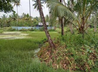 Residential Land for Sale in Alleppey, Arookutty, Arookutty