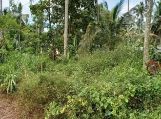 Residential Land for Sale in Alleppey, Arookutty, Arookutty