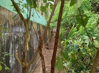 Residential Land for Sale in Alleppey, Arookutty, Arookutty