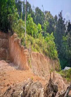 Residential Land for Sale in Pathanamthitta, Pandalam, Ullannoor, kulanada,manthuka