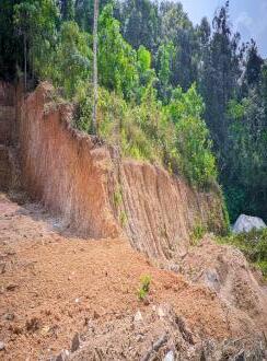 Residential Land for Sale in Pathanamthitta, Pandalam, Ullannoor, kulanada,manthuka