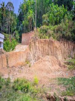 Residential Land for Sale in Pathanamthitta, Pandalam, Ullannoor, kulanada,manthuka