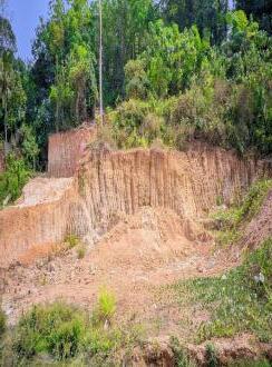 Residential Land for Sale in Pathanamthitta, Pandalam, Ullannoor, kulanada,manthuka