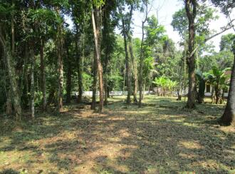 Residential Land for Sale