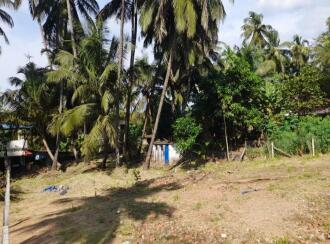 Residential Land for Sale in Palakkad, Palakkad, Puthuppariyaram, Mani Mandiram Rd, Near service co-operative Bank, Puthuppariyaram